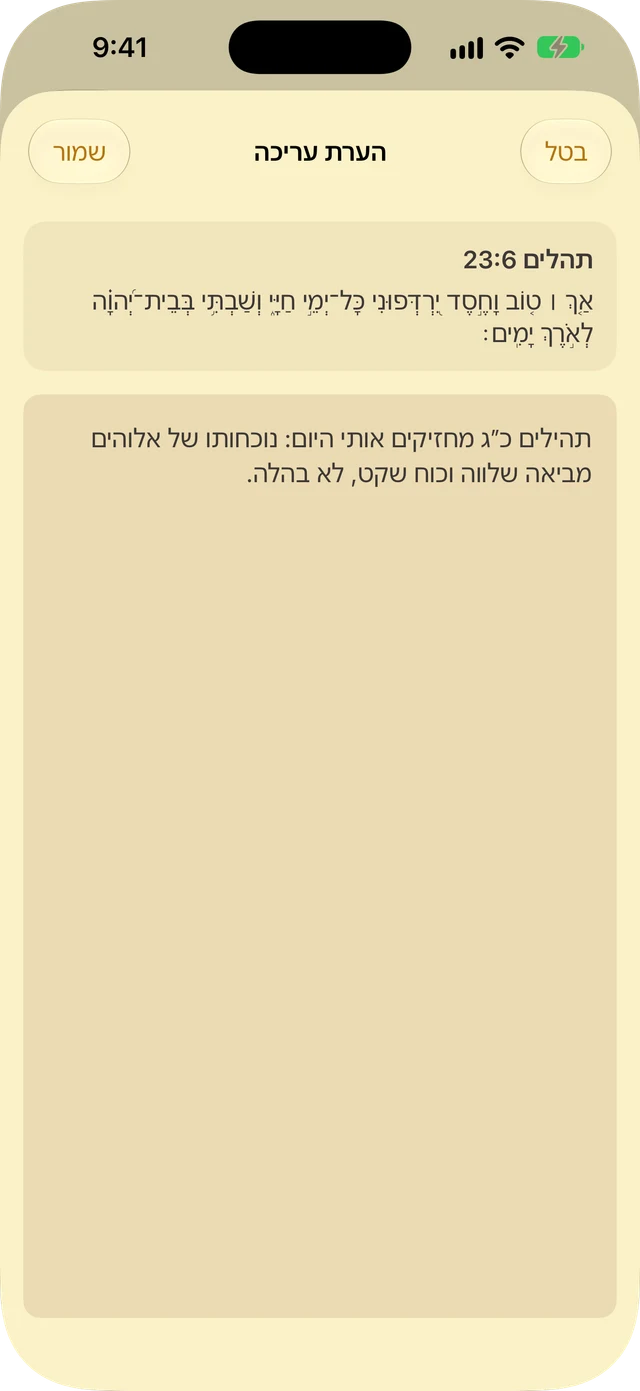 הערות והדגשות