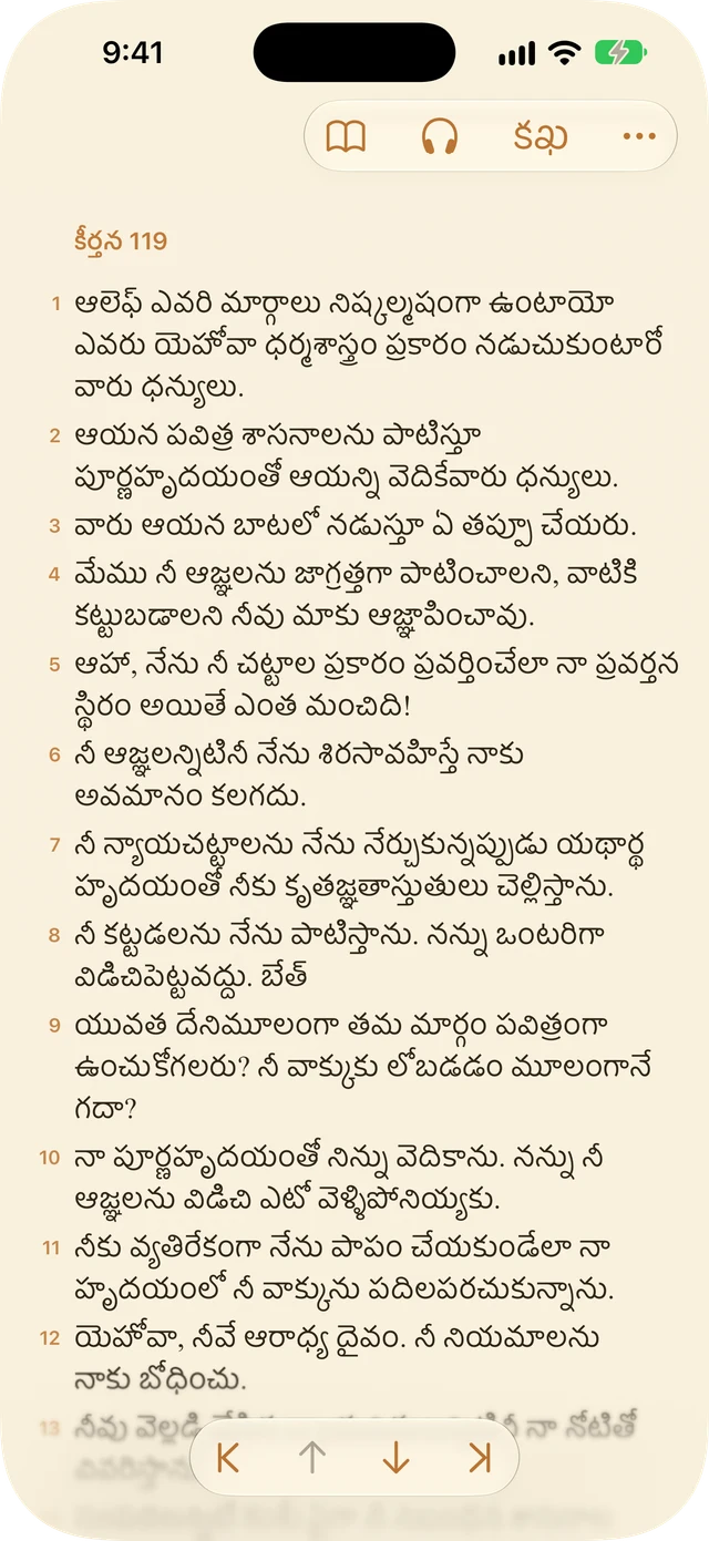 రీడర్ సెట్టింగ్‌లు
