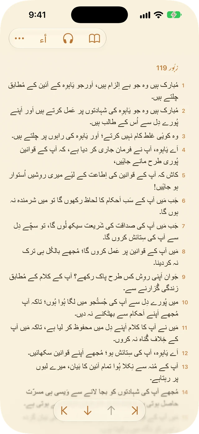 ریڈر کی ترتیبات