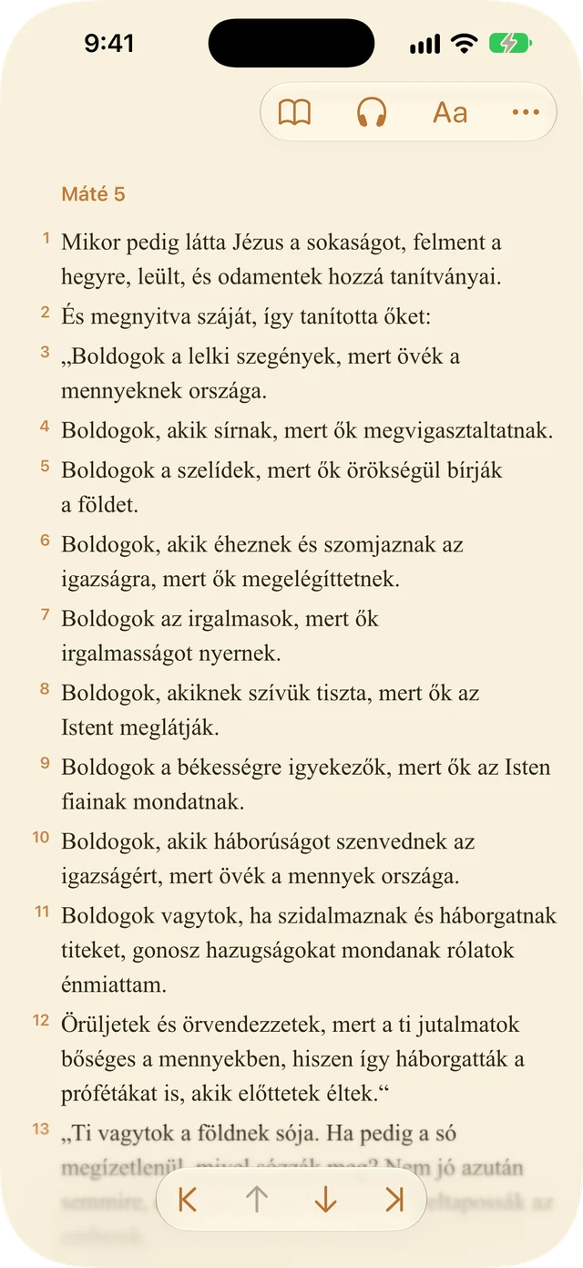 Olvasó beállításai