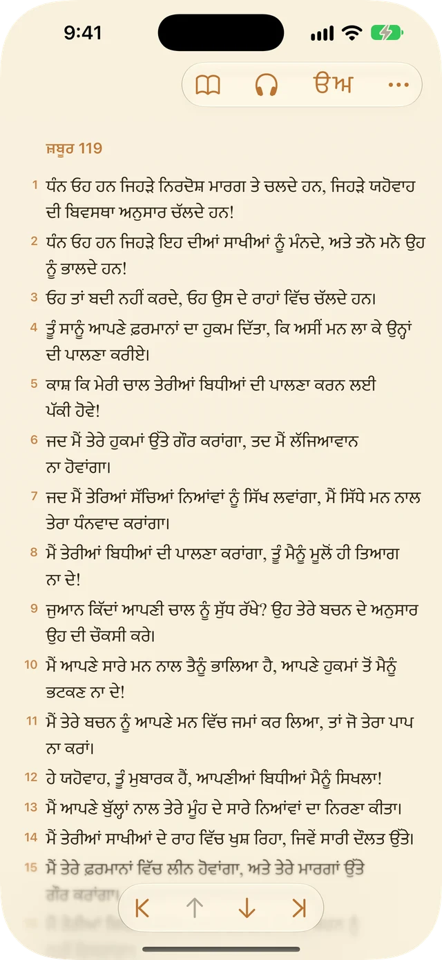 ਰੀਡਰ ਸੈਟਿੰਗਾਂ