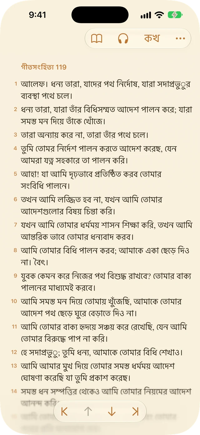 রিডার সেটিংস