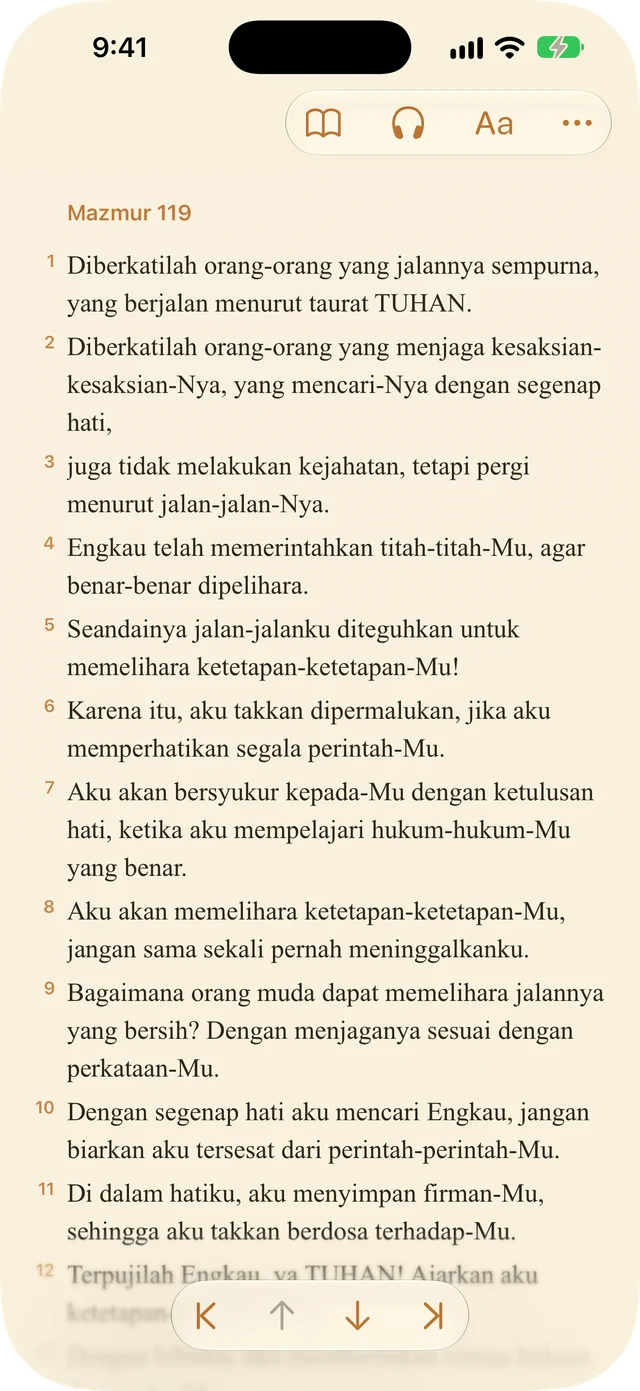 Pengaturan pembaca