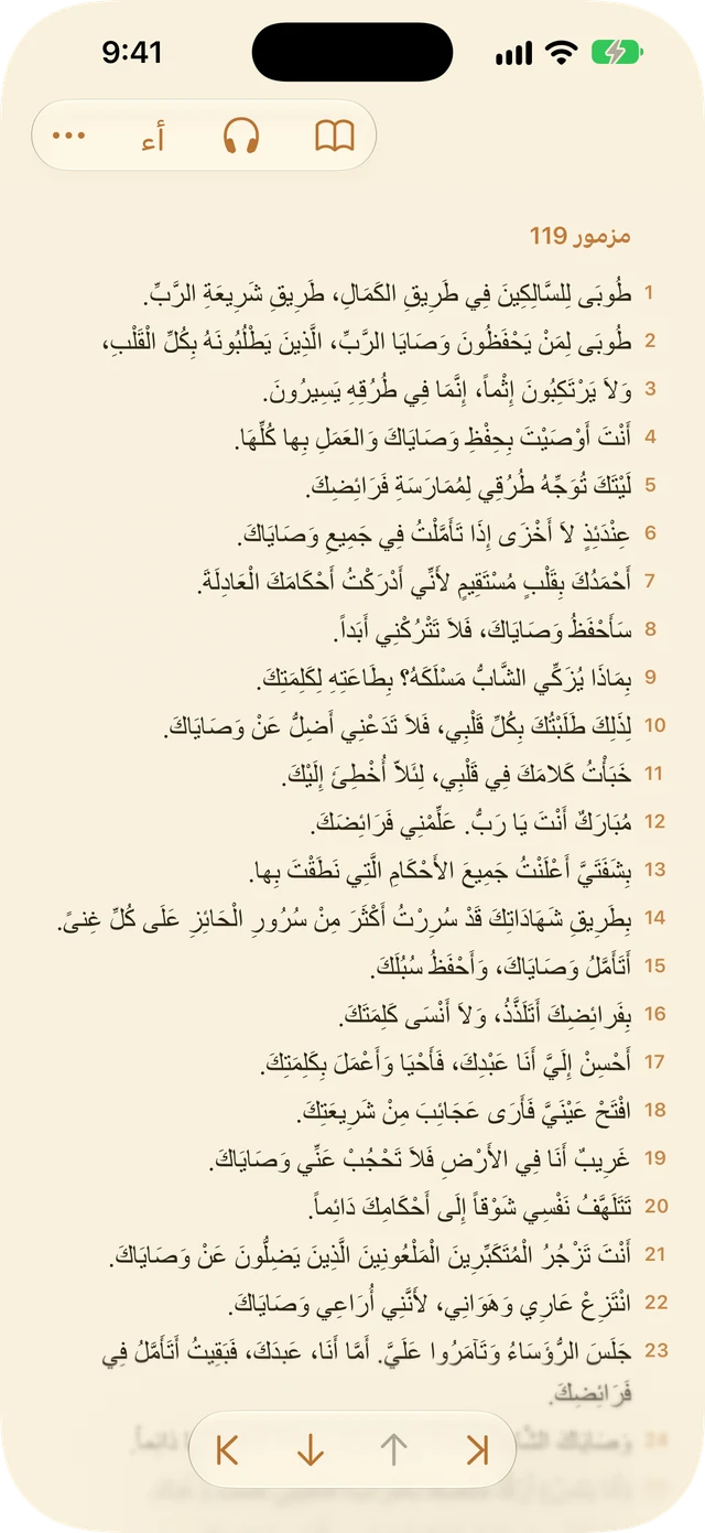 إعدادات القارئ