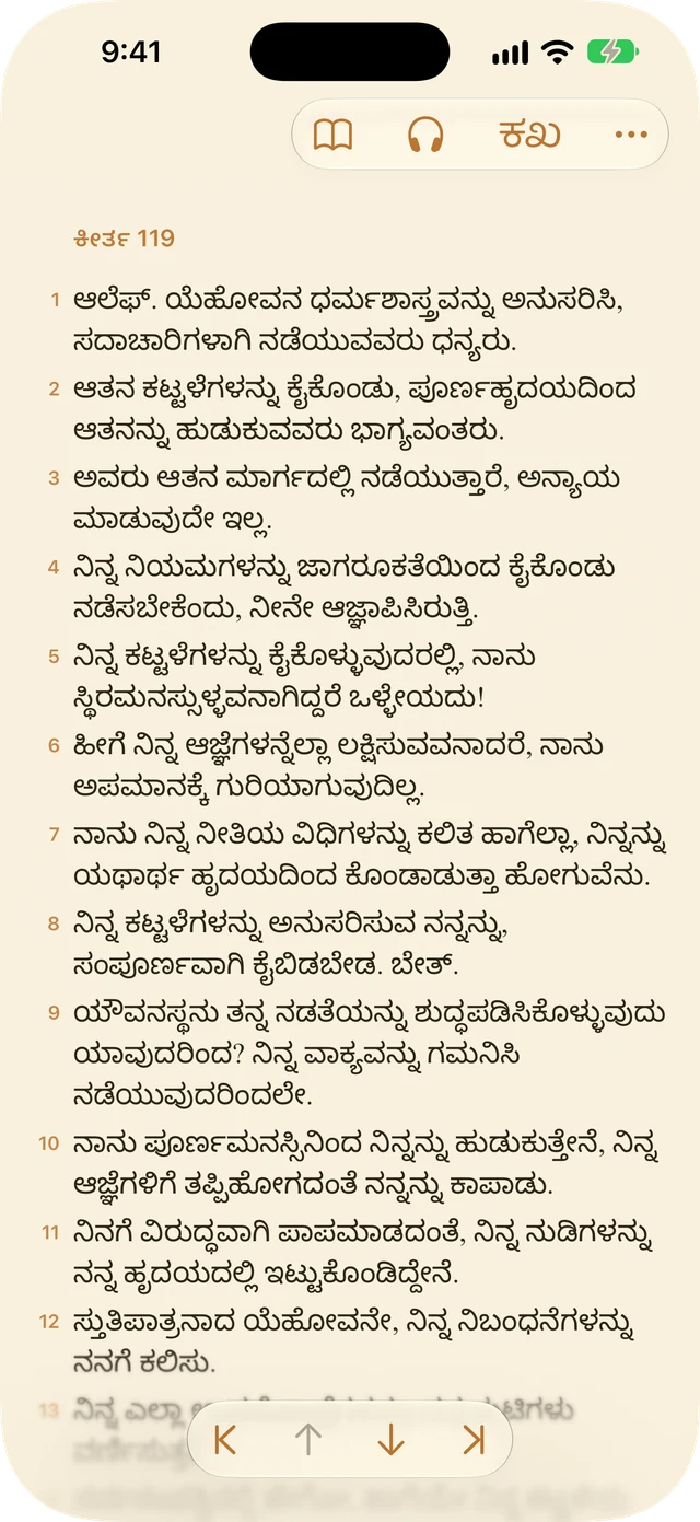 ರೀಡರ್ ಸೆಟ್ಟಿಂಗ್‌ಗಳು