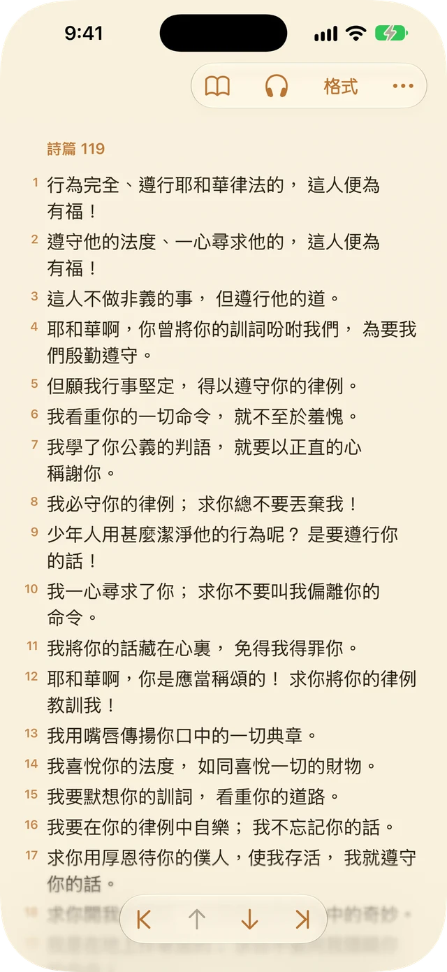閱讀器設定