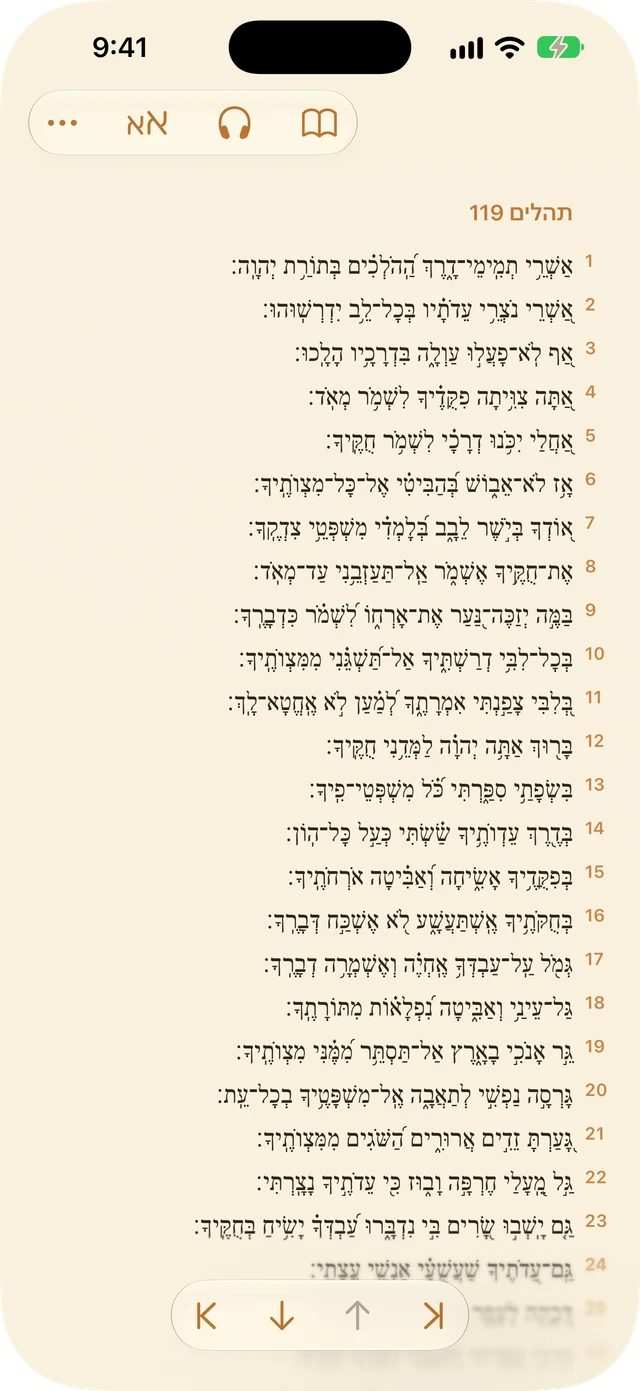 הגדרות קורא