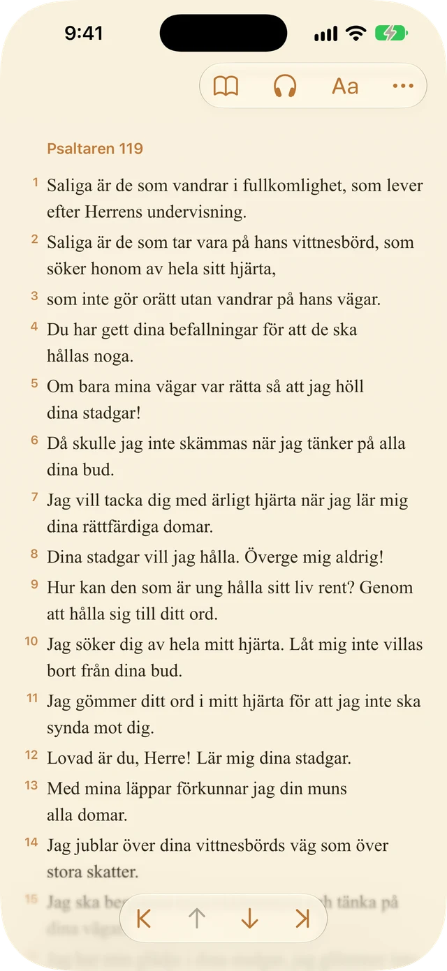 Läsarinställningar
