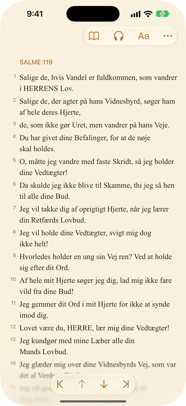 Læserindstillinger