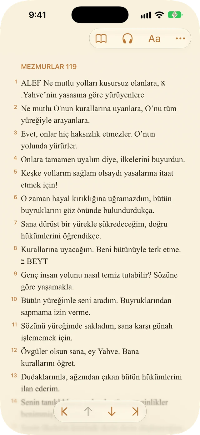 Okuyucu ayarları