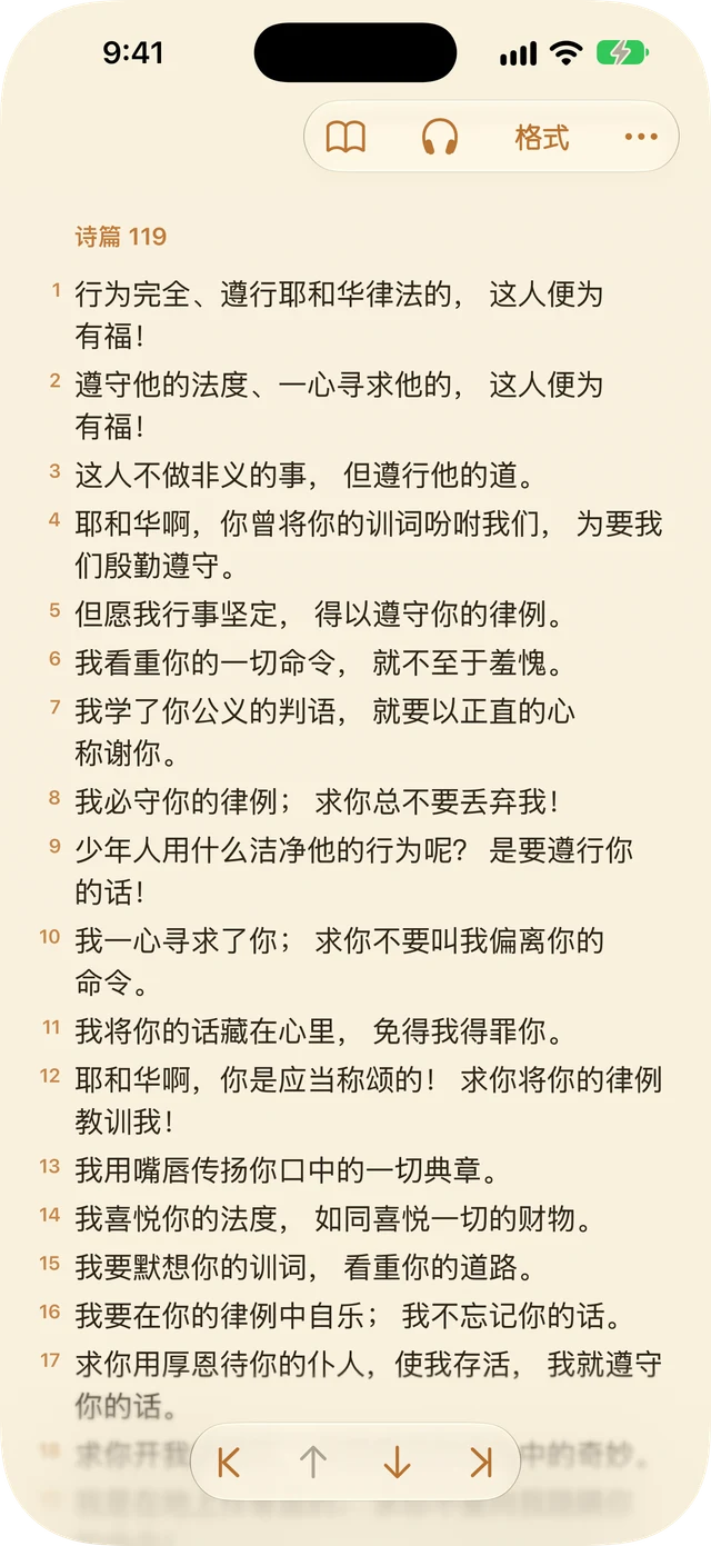 阅读器设置
