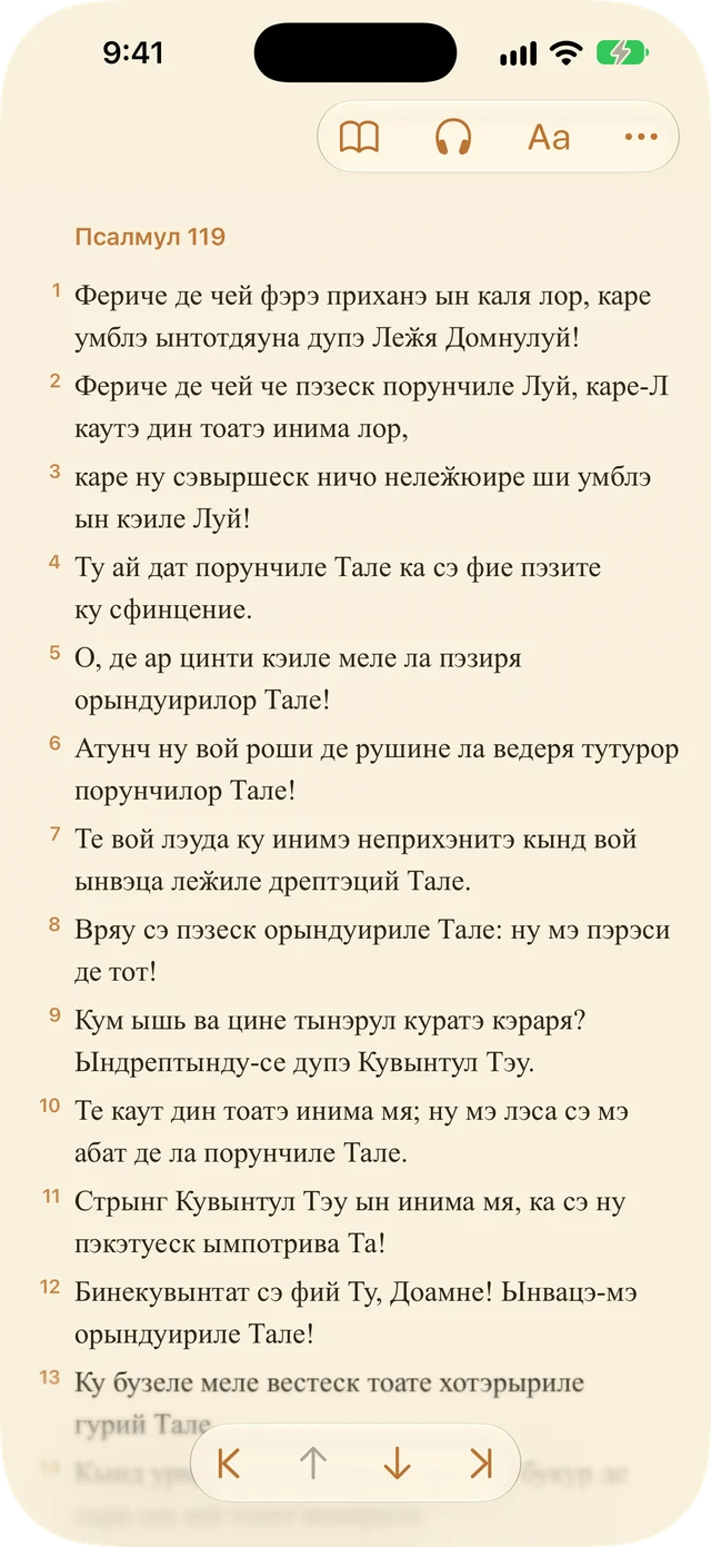 Setări cititor