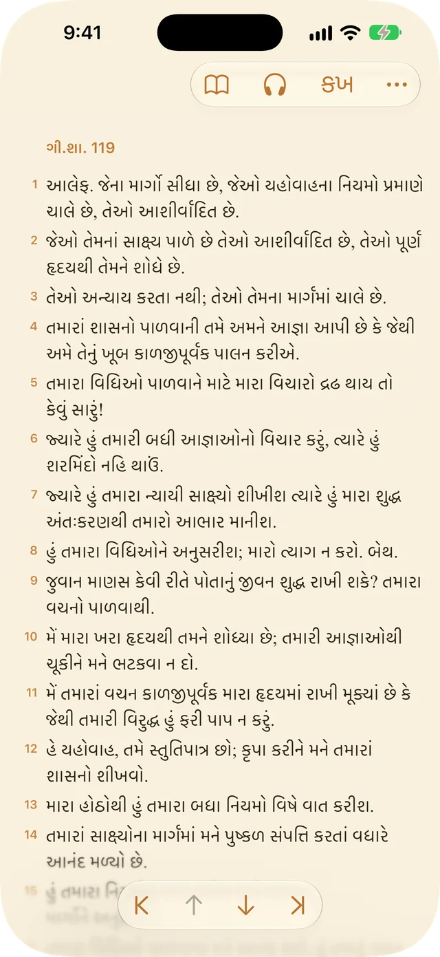 રીડર સેટિંગ્સ
